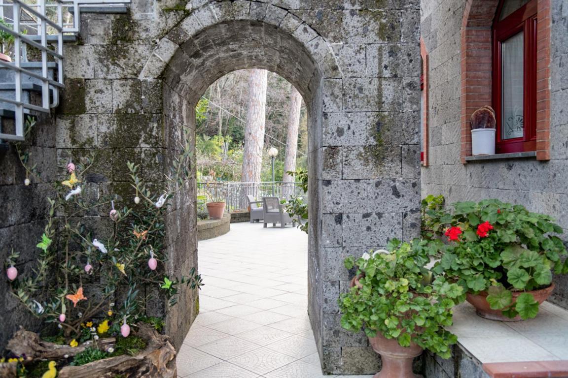 Sorrentovibes - Sea View Rooftop Apartment With Jacuzzi & Garden Eksteriør billede