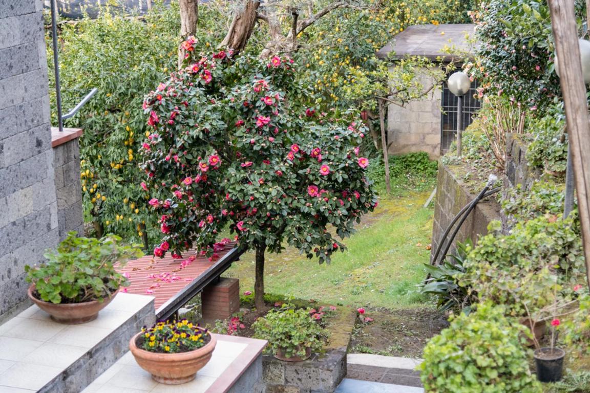 Sorrentovibes - Sea View Rooftop Apartment With Jacuzzi & Garden Eksteriør billede