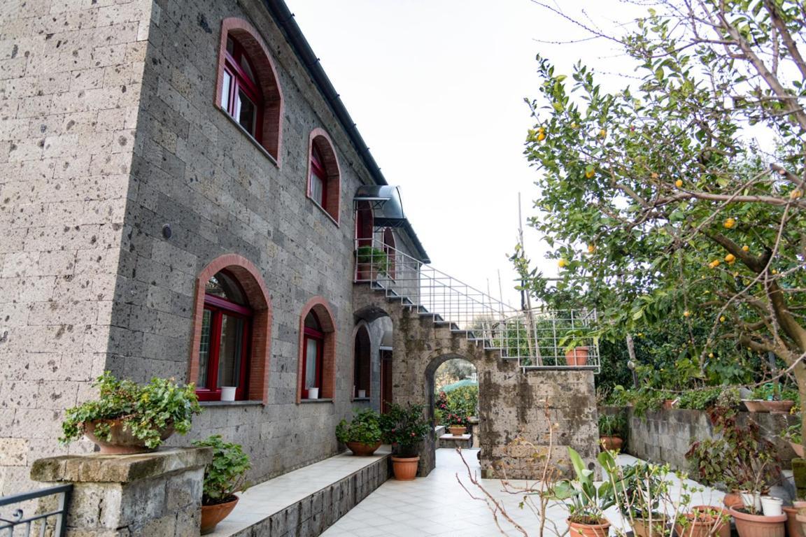 Sorrentovibes - Sea View Rooftop Apartment With Jacuzzi & Garden Eksteriør billede